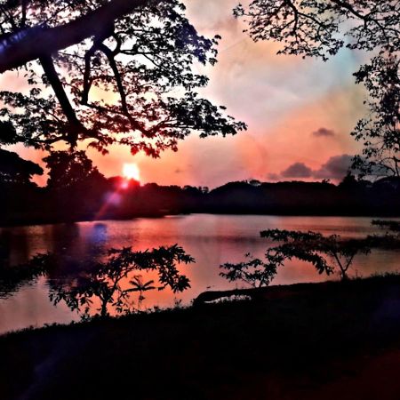 Lake View Dambulla Esterno foto