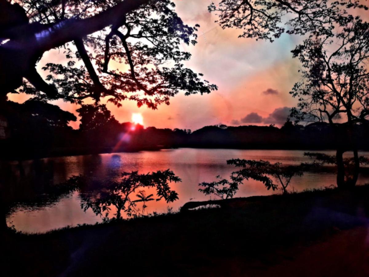 Lake View Dambulla Esterno foto