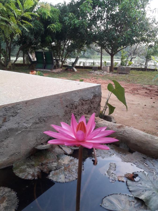 Lake View Dambulla Esterno foto